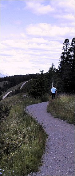 Walking Trail in Canmore Alberta